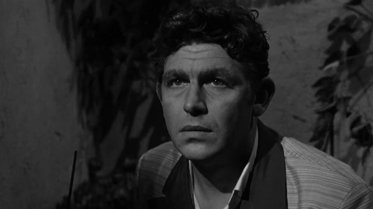 #35. Andy Griffith